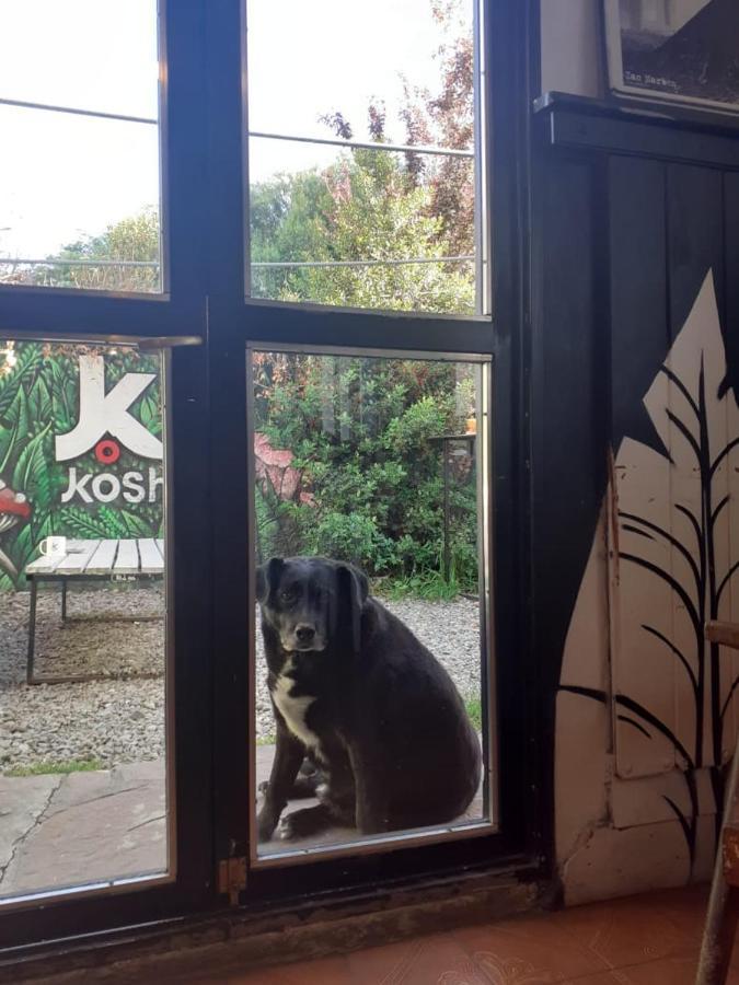 Hostel Kosh San Carlos de Bariloche Exteriér fotografie